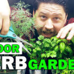 The Ultimate Guide to Indoor Herb Gardening